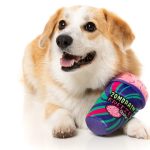 FY90234 FuzzYard Zombrain Freeze Slushie Dog Toy