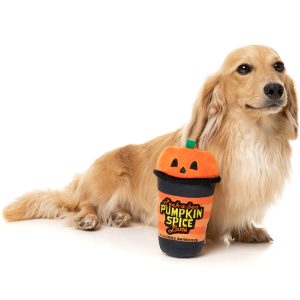 FY90241 FuzzYard Peek-A-Boo Pumpkin Spice Latte Dog Toy