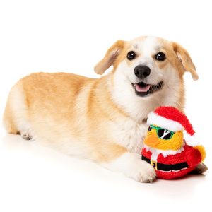 FZT1099 FuzzYard Christmas Quacker Dog Toy