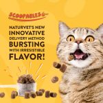 NV-SCOOP-CAT-ENZ NaturVet Scoopables Digestive Enzymes Daily Digestive Support For Cats [Wt 5.5 oz ]