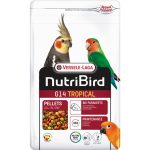 VL422115-G14-Tropical-Big-Parakeets-Maintenance-1kg