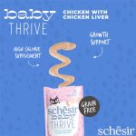 Schesir Kitten Thrive Sachet - Chicken With Chicken Liver in cream - Silversky