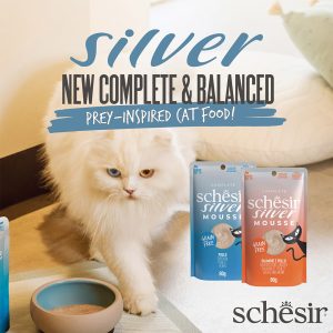 Schesir Silver Velvet Mousse