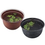 GX035523 GEX Killifish Circle Lid for Plastic Bowl 3237cm - Reinbiotech