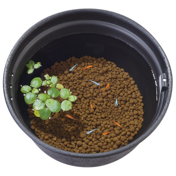 GX038340 GEX Killifish Red Ball Soil 2.5L - Reinbiotech