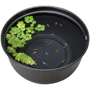 GX042941 GEX Killifish Plastic Bowl Black 42cm - Reinbiotech