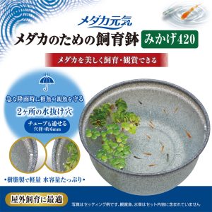 GX042958 GEX Killifish Plastic Bowl Granite 42cm - Reinbiotech