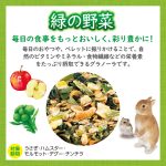 GX043726 GEX Rabbit Granola Green Vegetable 150g - Reinpets