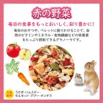 GX043733 GEX Rabbit Granola Red Vegetable 150g - Reinbiotech