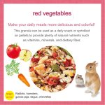 GX043733 GEX Rabbit Granola Red Vegetable 150g - Reinbiotech