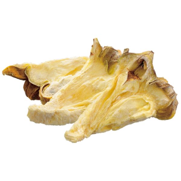 GX043788 GEX Freeze Dried Pineapple 7g - Reinbiotech