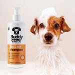 BD62008 Buddycare Flea & Tick Dog Shampoo (500ml) - Reinbiotech