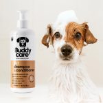 BD67003 Buddycare Coconut Dog Shampoo & Conditioner (500ml) - Reinbiotech