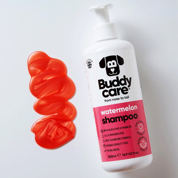 BD89005 Buddycare Watermelon Dog Shampoo (500ml) - Reinbiotech