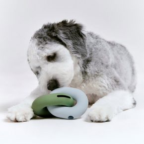 Woof Living Your Pet’s Toys Matter More Than You Think