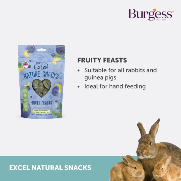 B462 Burgess Fruity Feasts (60g) - Yappy Pets