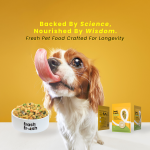 frashfresh Cooked Dog Food with NutriAbsorb™
