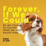 frashfresh Cooked Dog Food with NutriAbsorb™