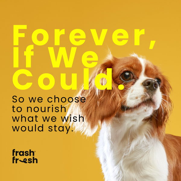 frashfresh Cooked Dog Food with NutriAbsorb™