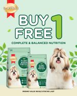 Buy 1 Get 1 Plant Based Protein Dog Kibbles Promotion Smartheart