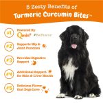 Z062TD Zesty Paws Turmeric Curcumin Bites™ Supplements for Dogs (Duck Flavour)