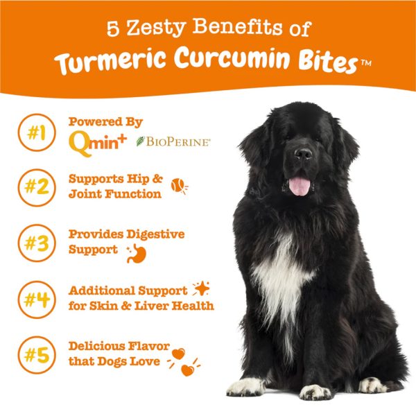 Z062TD Zesty Paws Turmeric Curcumin Bites™ Supplements for Dogs (Duck Flavour)