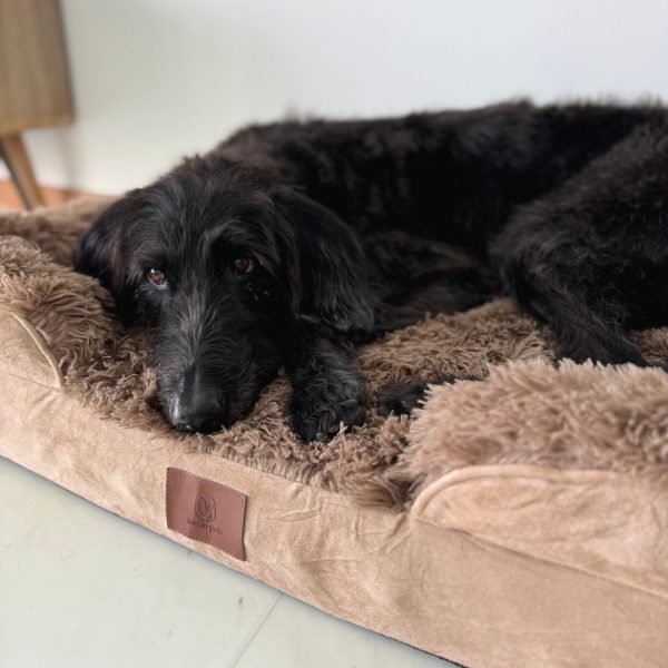 Komu Elysian Orthopaedic & Anti-Anxiety Pet Bed - Image 11
