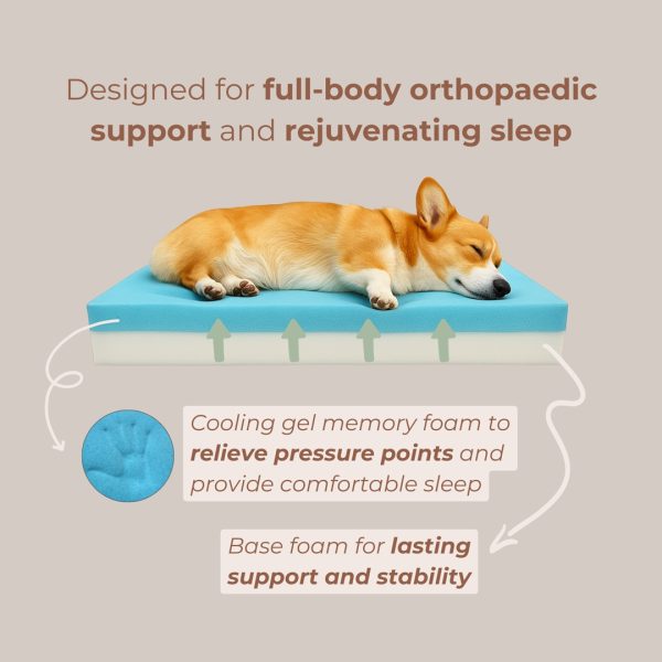 Komu Elysian Orthopaedic & Anti-Anxiety Pet Bed - Image 3