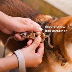 Komu Water-Resistant Hands-free Convertible Adjustable Leash & Connector - Image 3