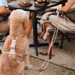 Komu Water-Resistant Hands-free Convertible Adjustable Leash & Connector - Image 6