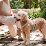 Komu Water-Resistant Hands-free Convertible Adjustable Leash & Connector - Image 7