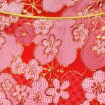 Spring Blossoms CNY Cape with Baby Pink Fur Trimmings