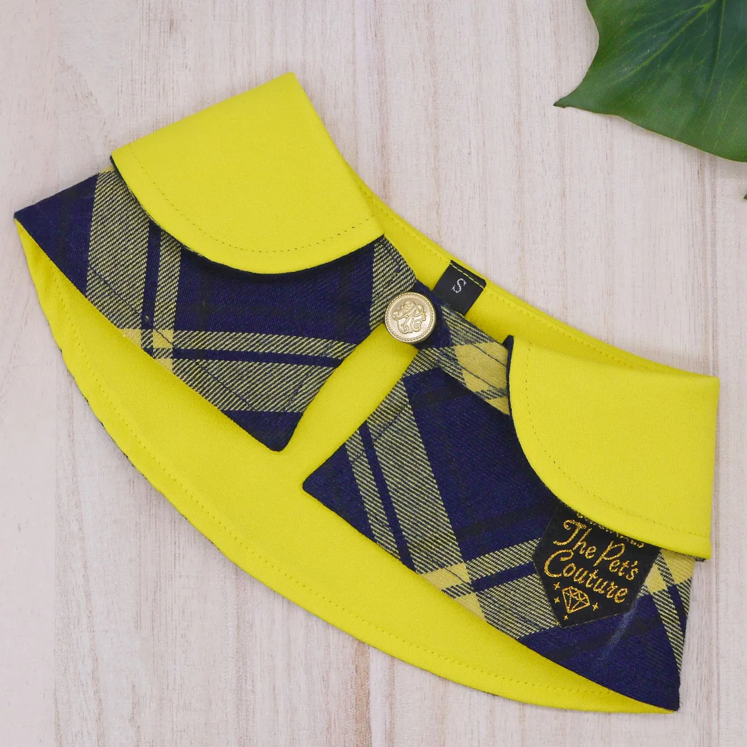 Yellow Collar with Blue Plaid Yellow Collar with Blue Plaid