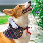 Cape - Pine Green Hoodie