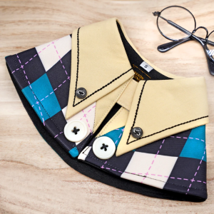 High School Cream Turquoise