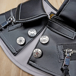 Ryder The Silent Storm