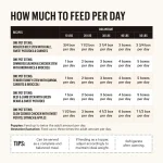 TH321 The Honest Kitchen One Pot Stew