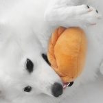 Waggle Curry Puff Squeakie Chew Toy