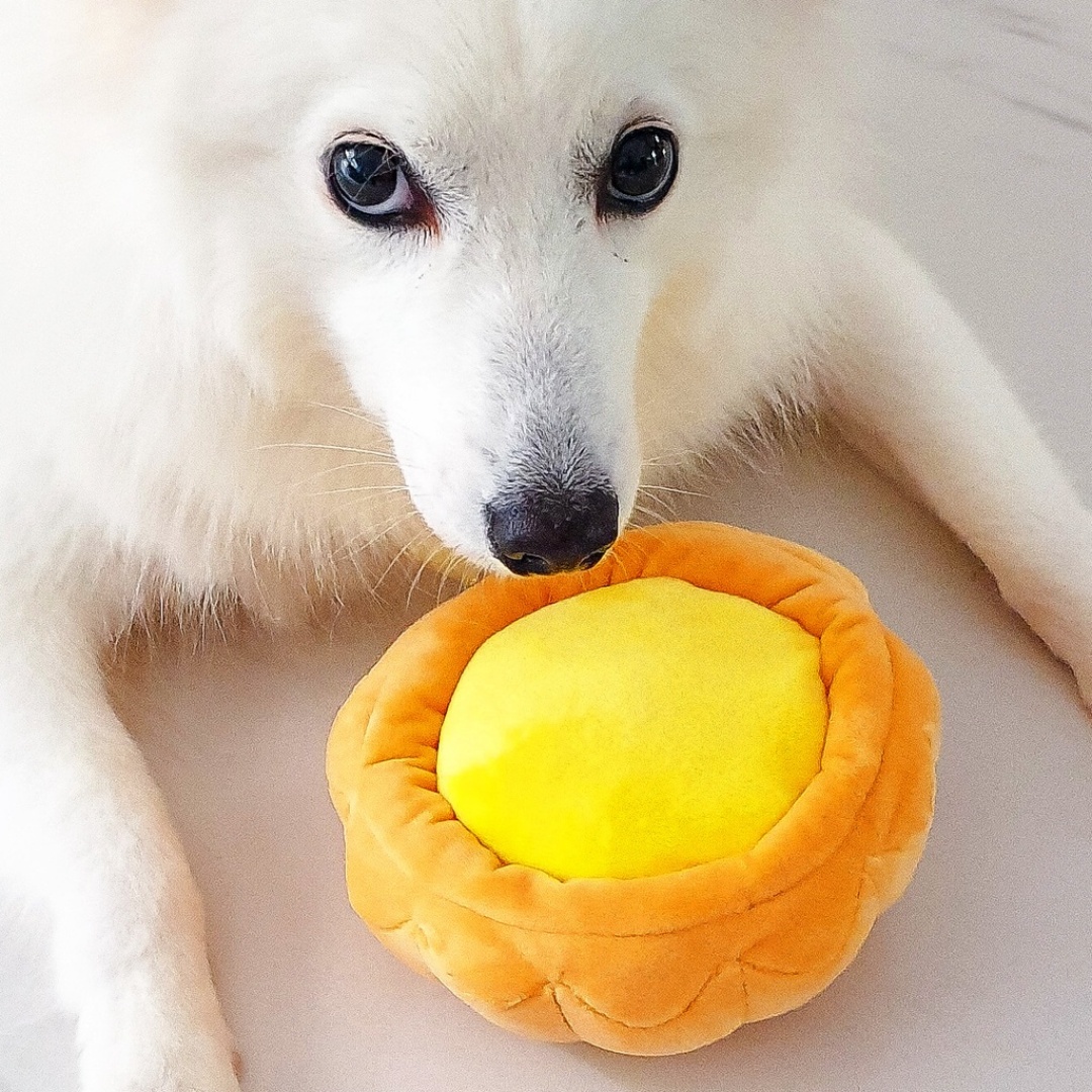 Waggle Egg Tart Squeakie Chew Toy (Premium) Waggle Egg Tart Squeakie Chew Toy (Premium)