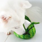 Waggle Rice Dumpling Squeakie Chew Toy (Premium)